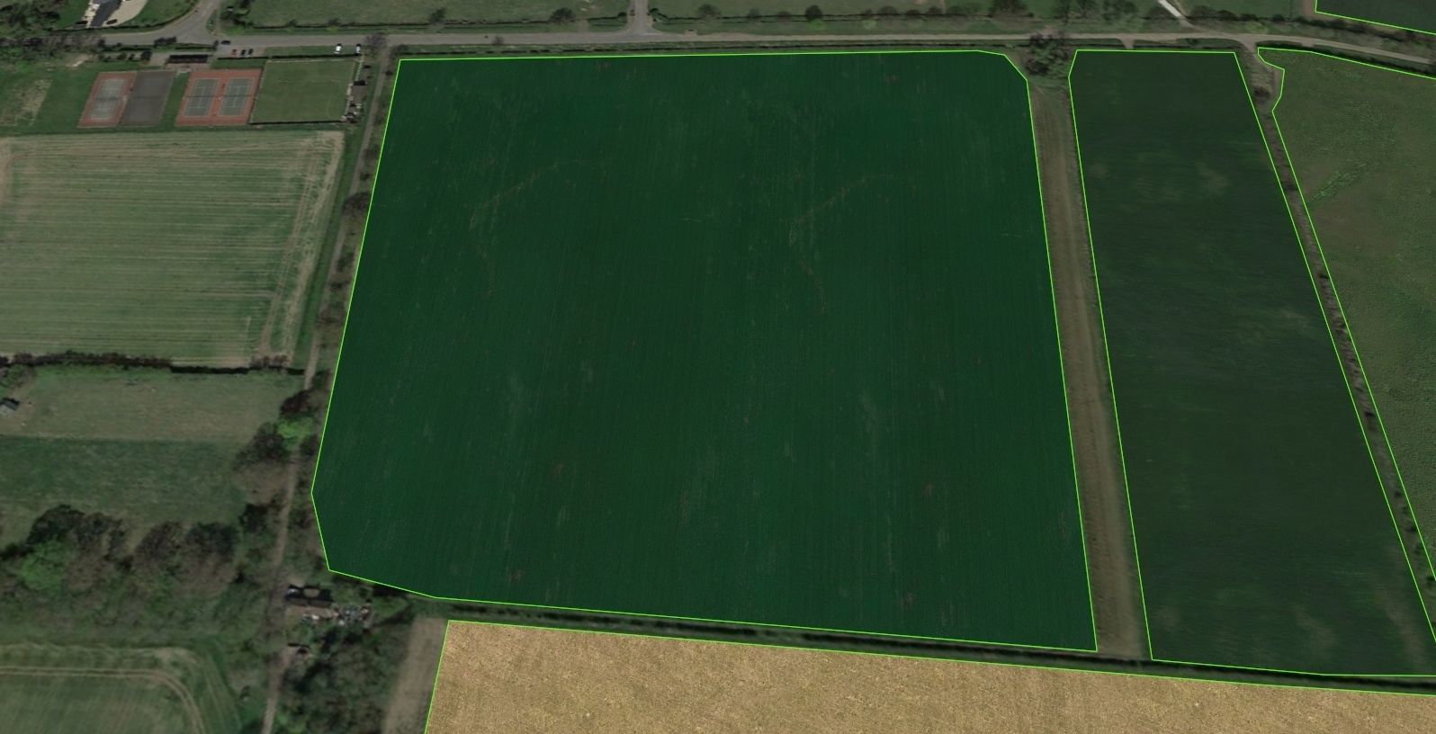 Aerial Grass - Seamless Texture_6