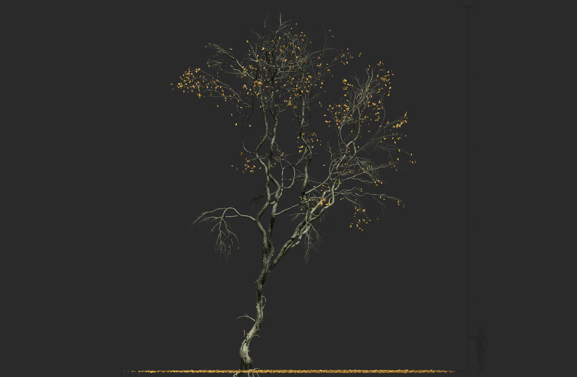 High Quality Forest Elm Tree 01 3D model_1