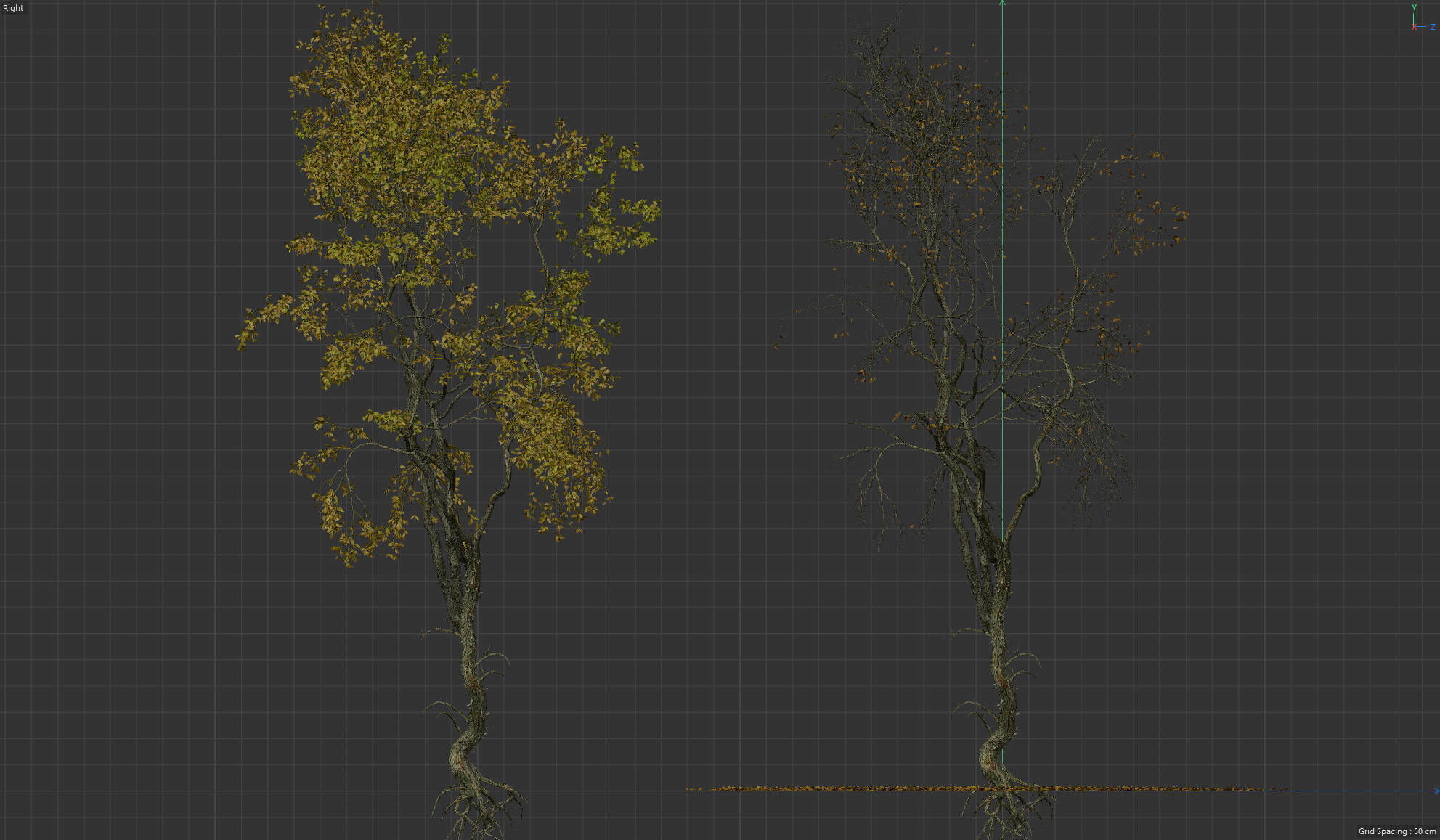 High Quality Forest Elm Tree 01 3D model_4