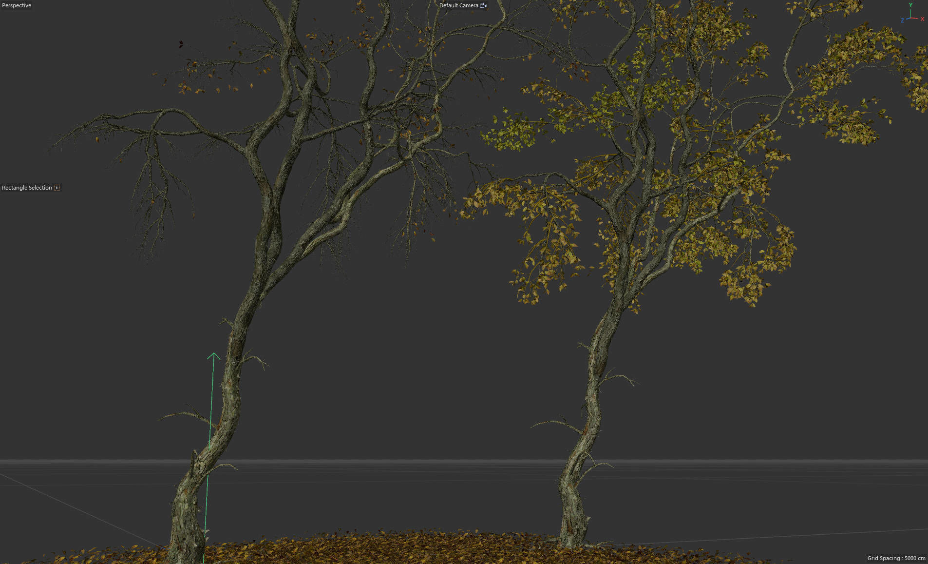 High Quality Forest Elm Tree 01 3D model_5