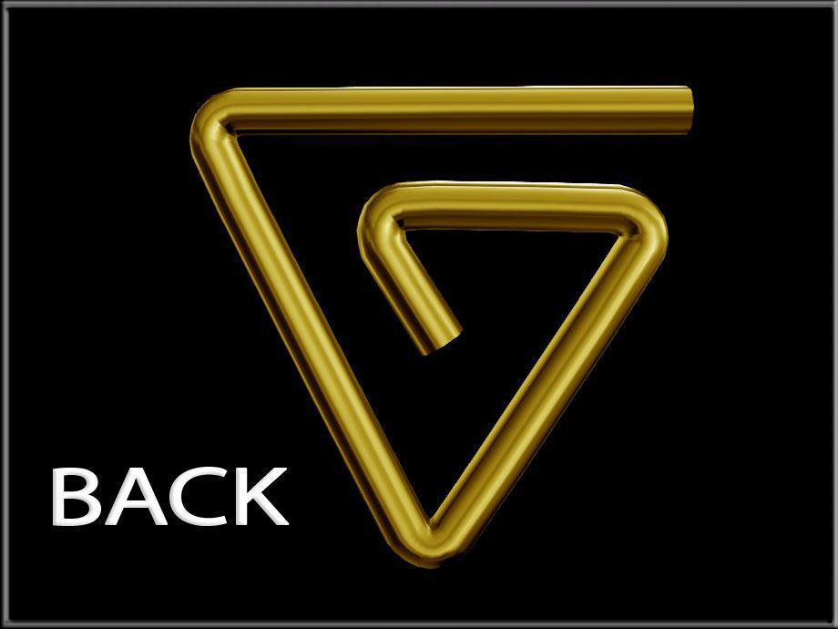 Geometric Wire Low-poly 3D model_3