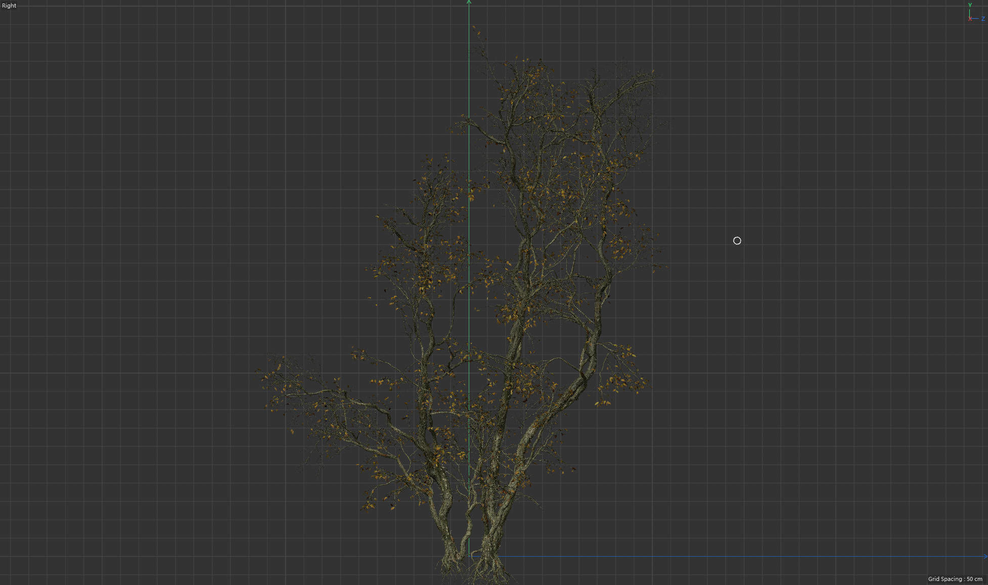 High Quality Forest Elm Tree 02 3D model_5