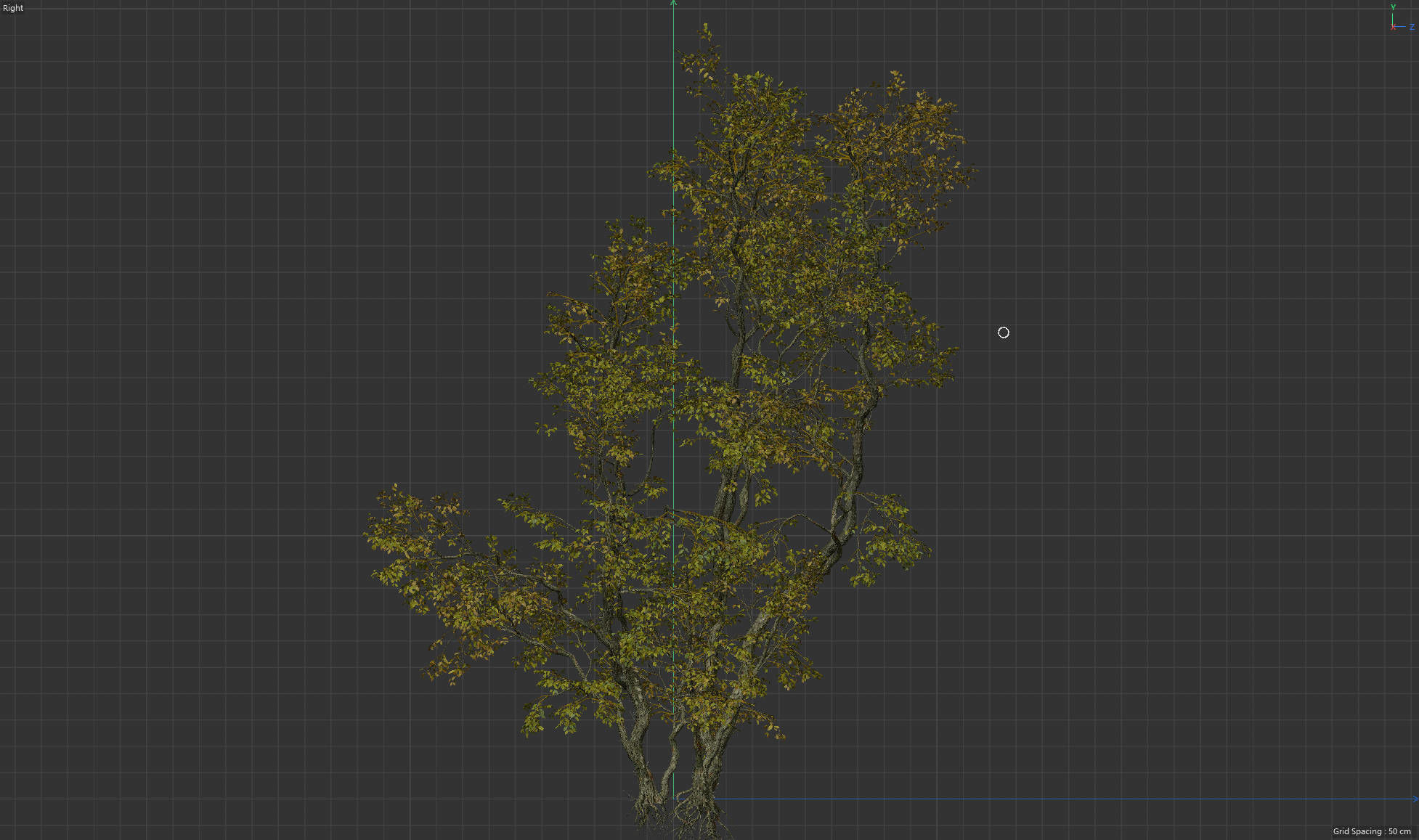 High Quality Forest Elm Tree 02 3D model_4