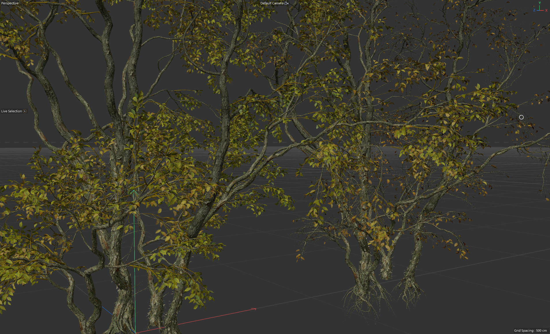 High Quality Forest Elm Tree 02 3D model_1