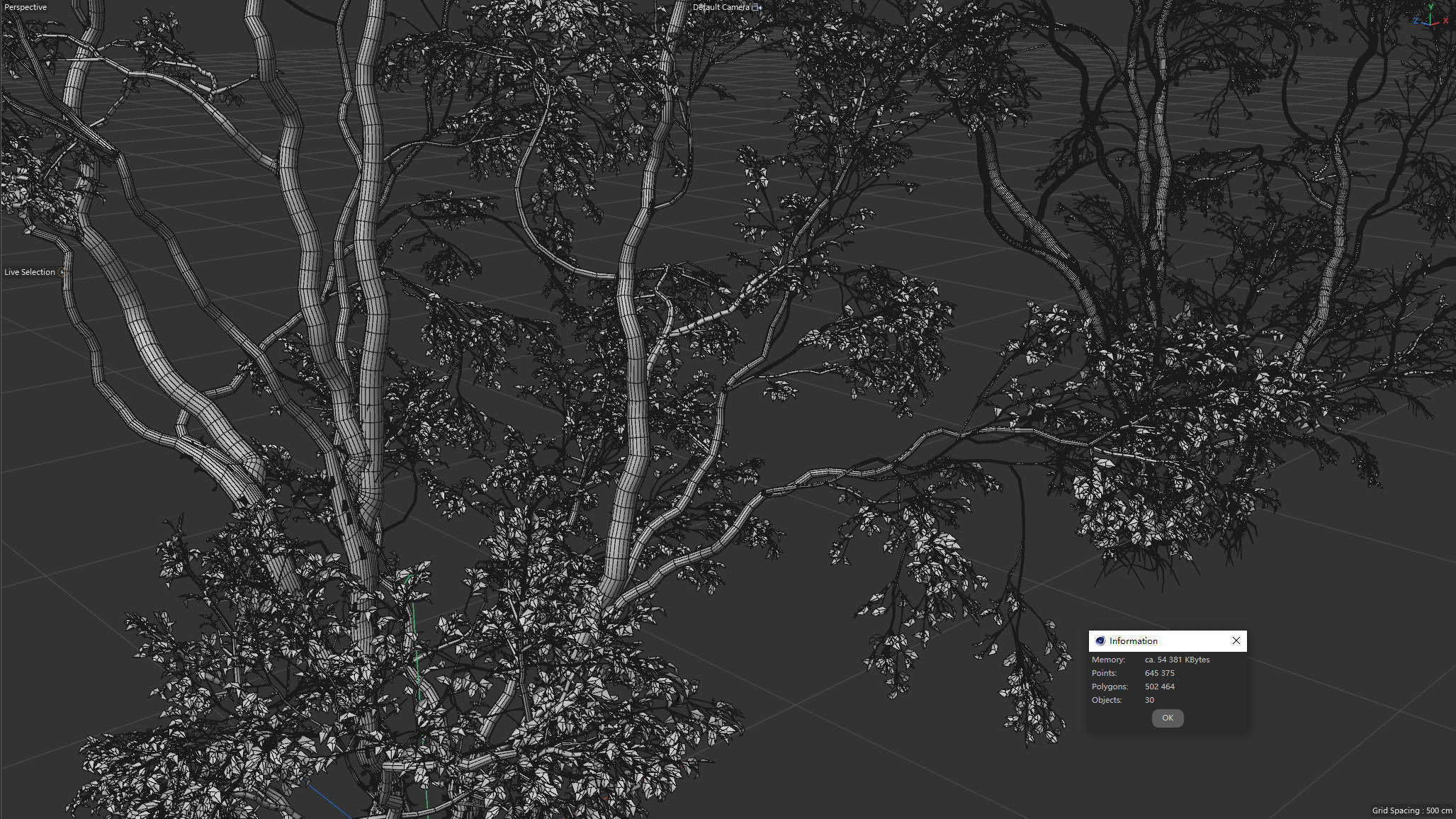 High Quality Forest Elm Tree 02 3D model_2