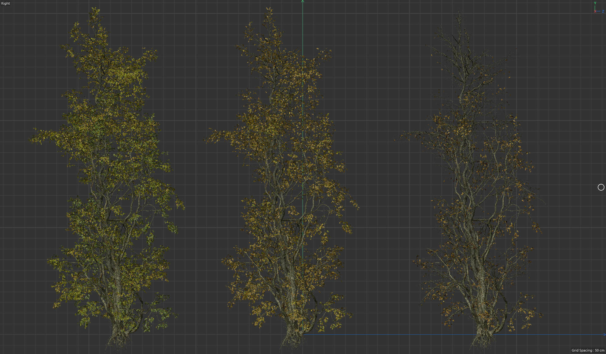 High Quality Forest Elm Tree 03 3D model_4