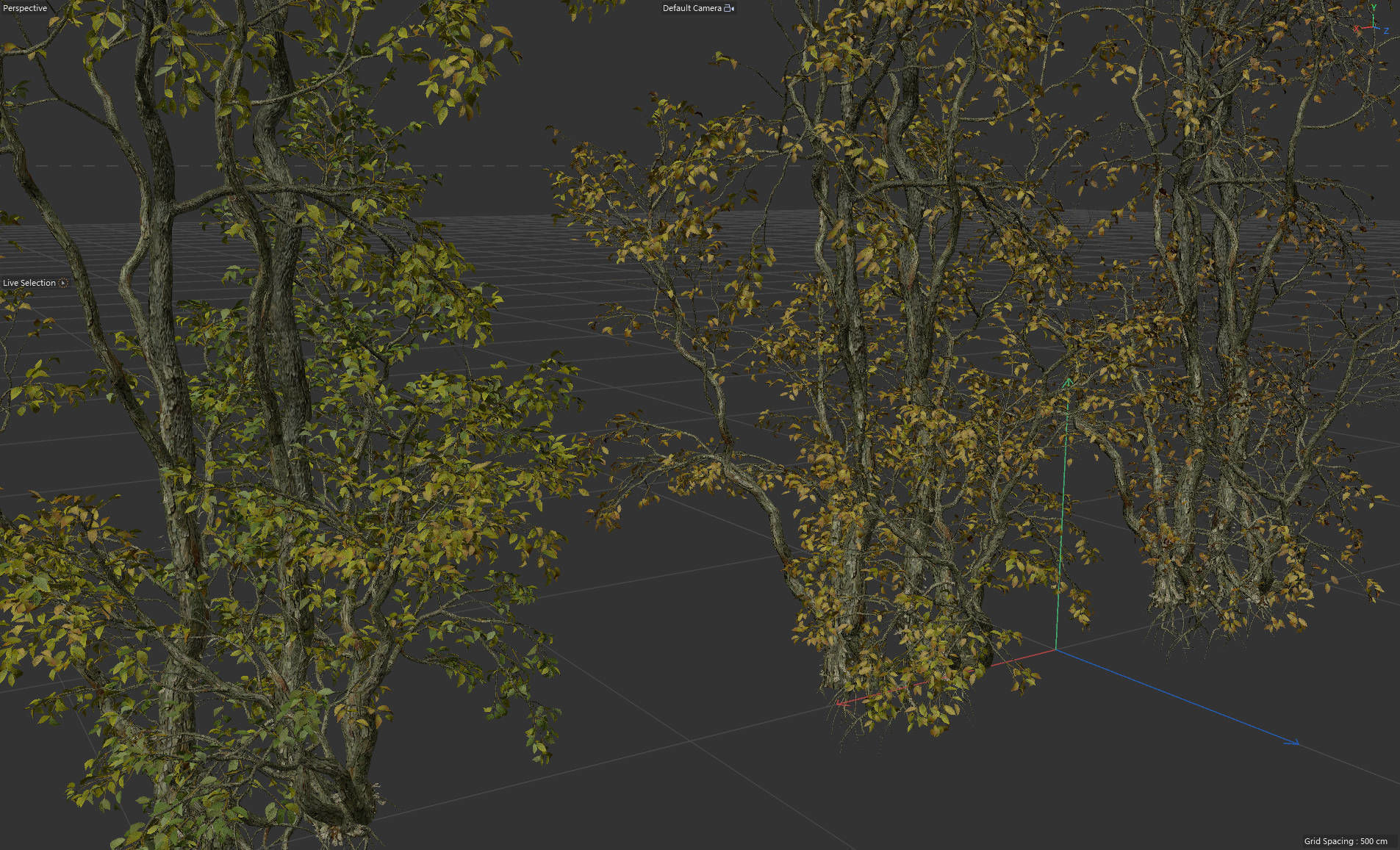 High Quality Forest Elm Tree 03 3D model_5