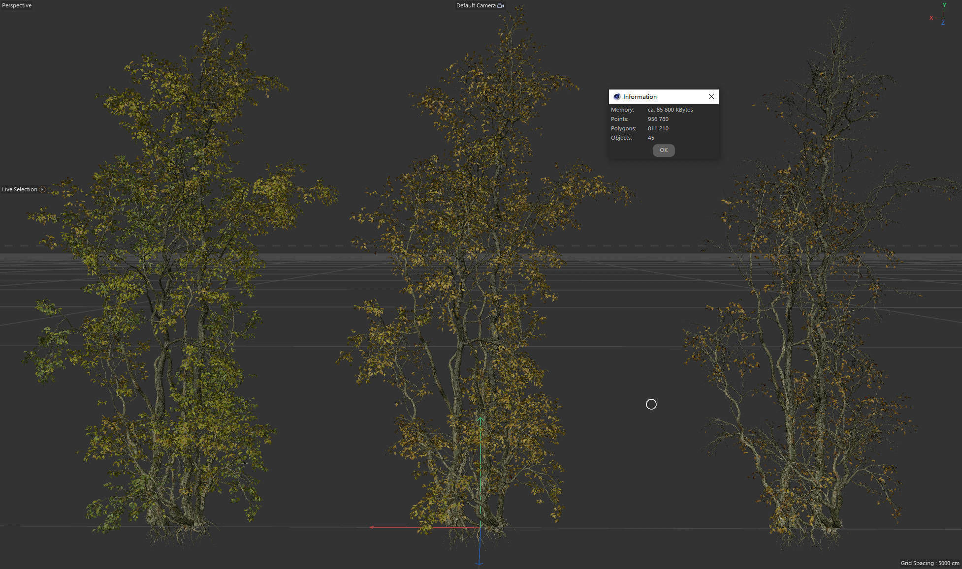 High Quality Forest Elm Tree 03 3D model_1