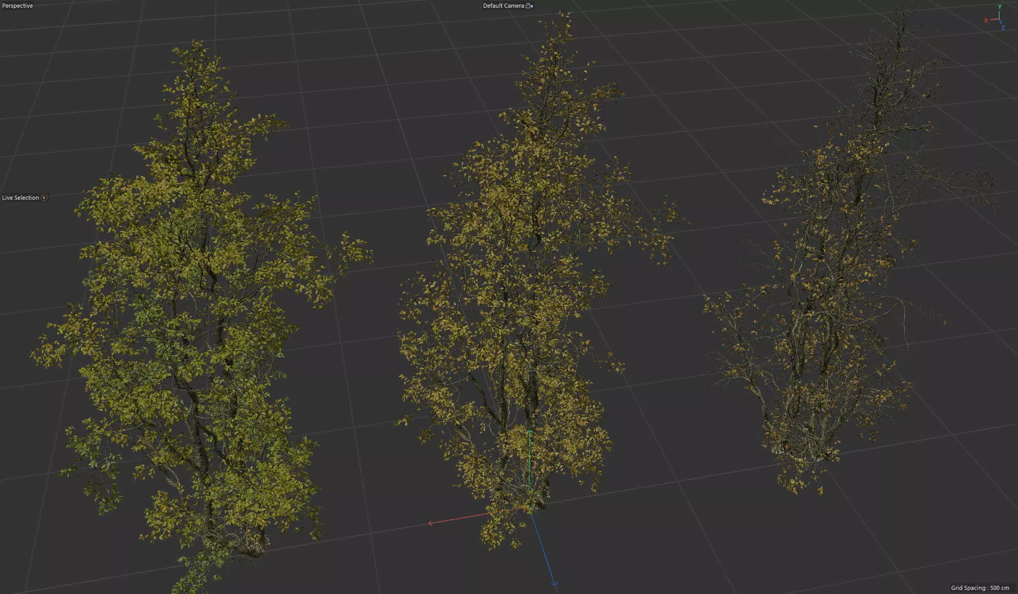 High Quality Forest Elm Tree 03 3D model_0