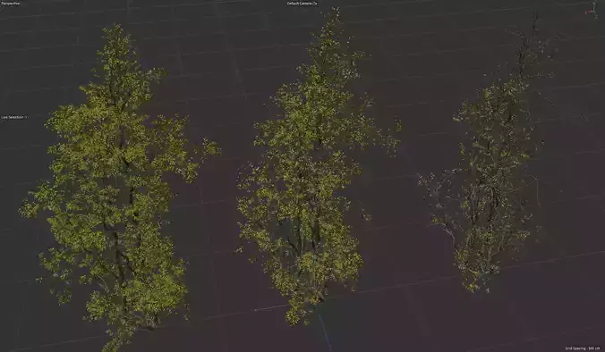 High Quality Forest Elm Tree 03 3D model
