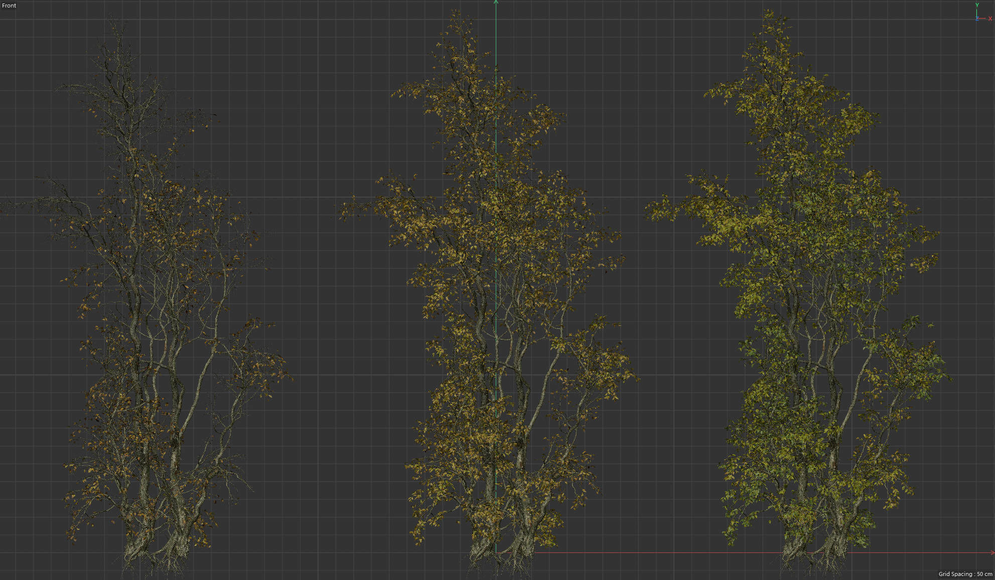 High Quality Forest Elm Tree 03 3D model_3