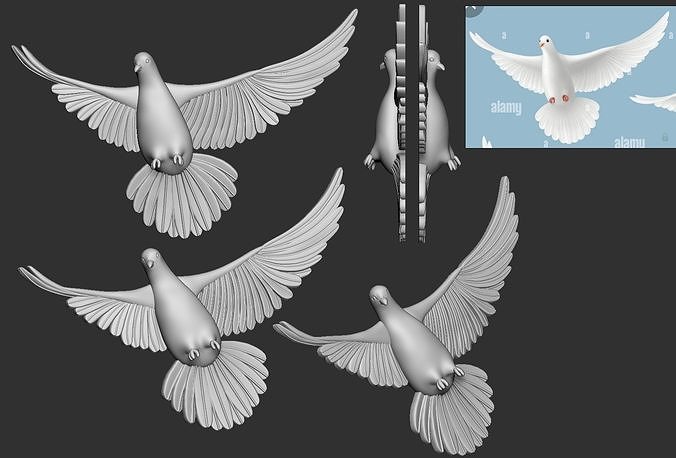 Dove Bird 3D print model