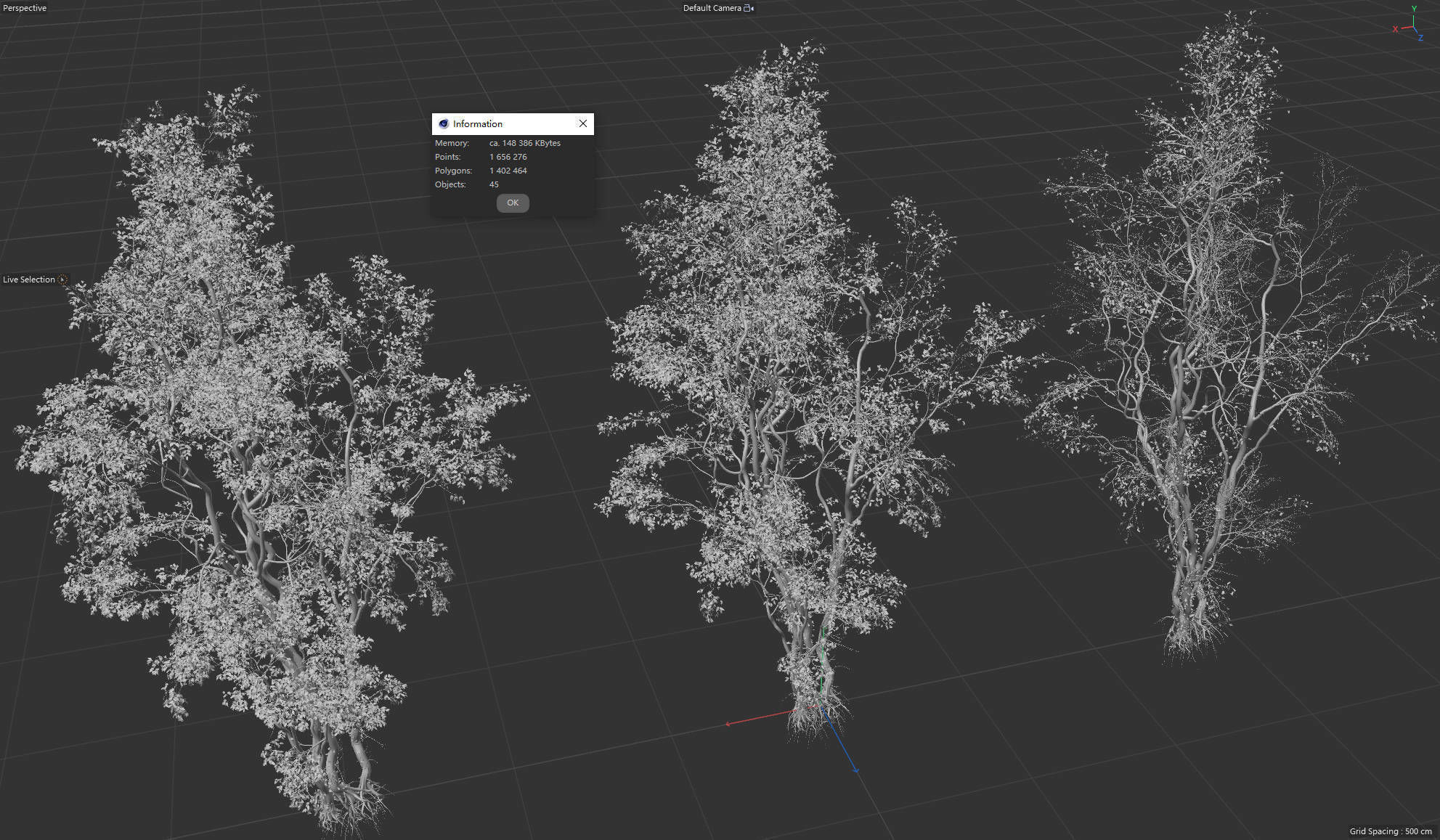 High Quality Forest Elm Tree 04 3D model_4