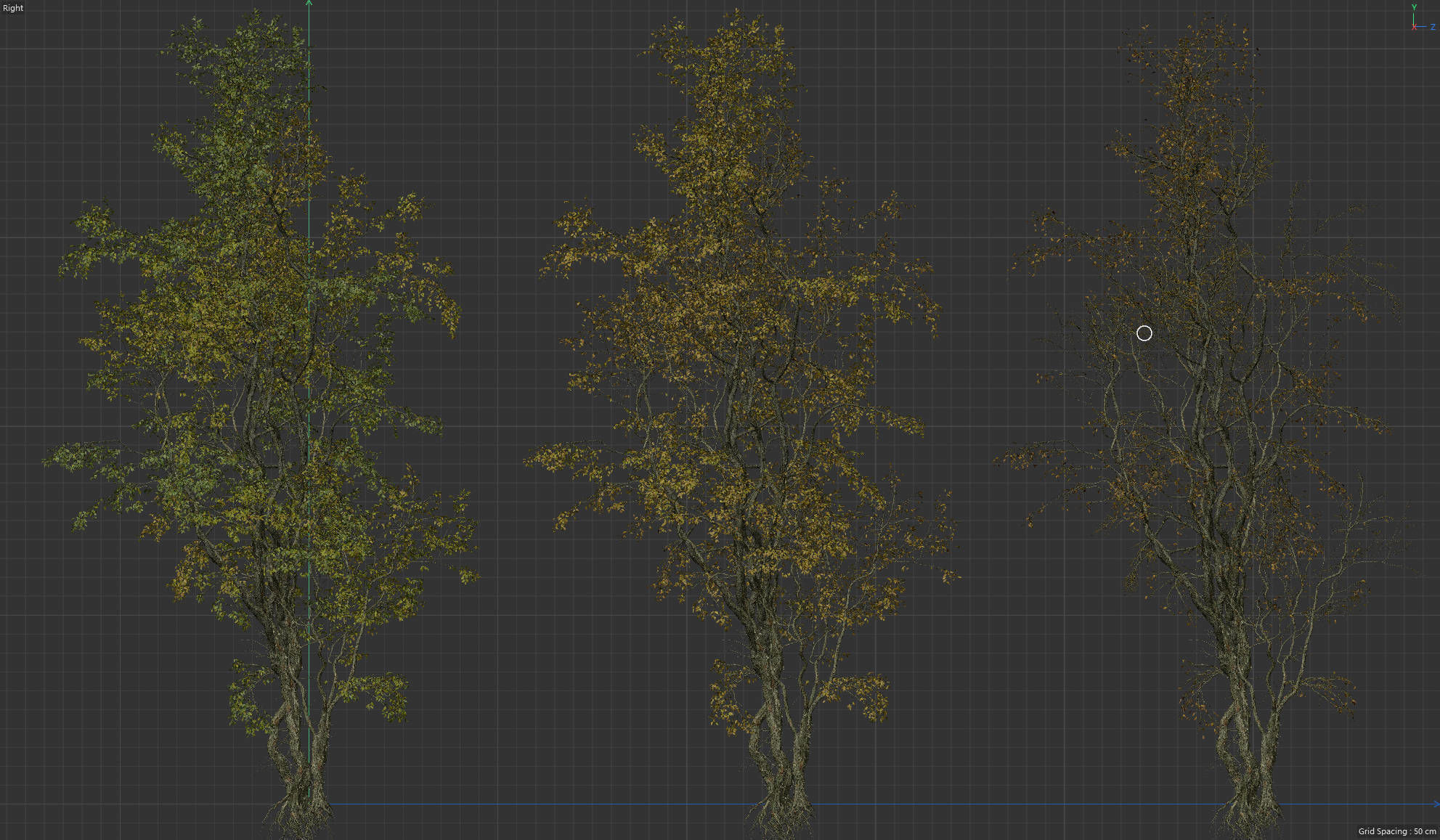 High Quality Forest Elm Tree 04 3D model_3