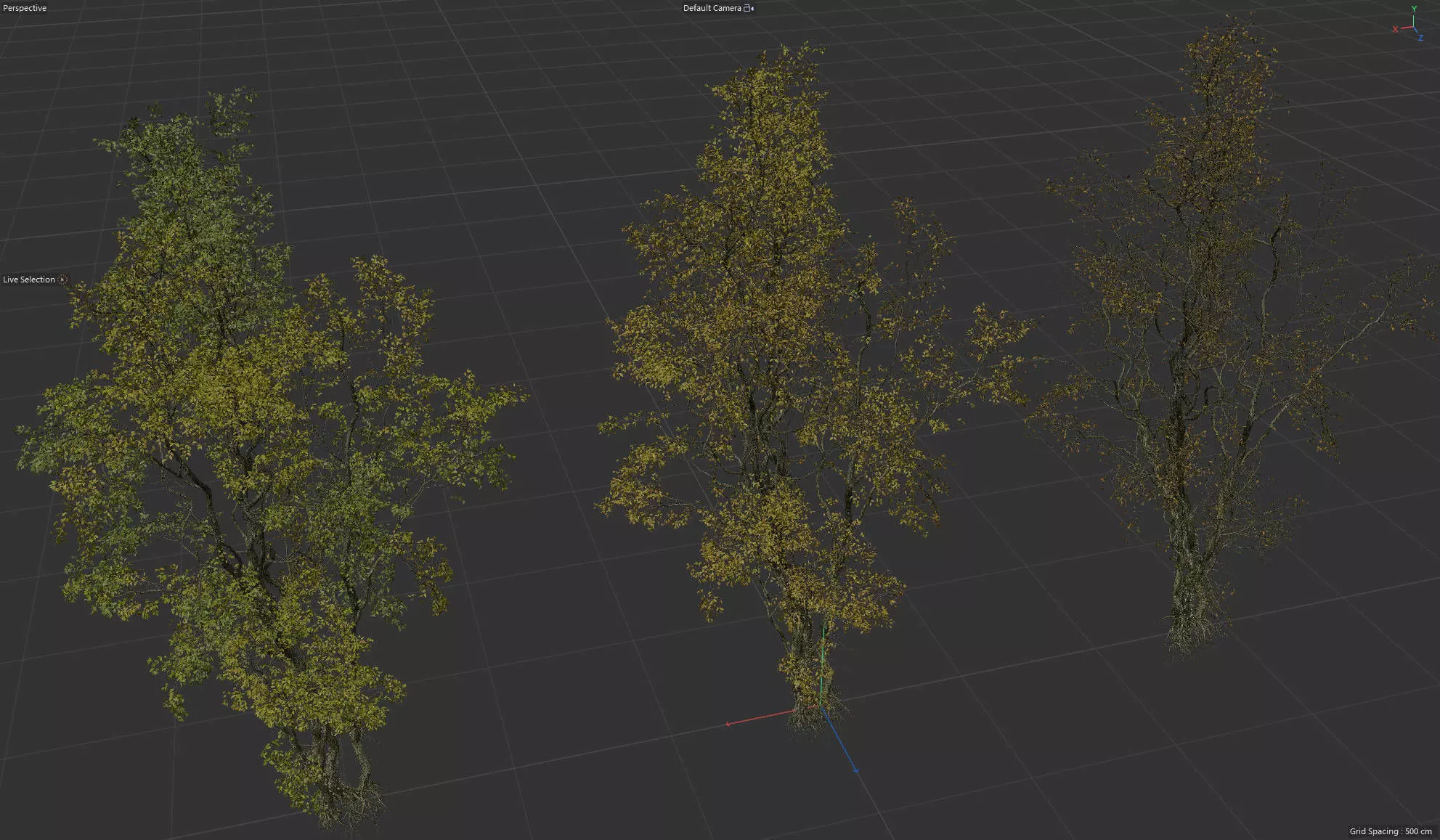 High Quality Forest Elm Tree 04 3D model_0