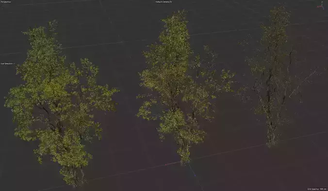 High Quality Forest Elm Tree 04 3D model