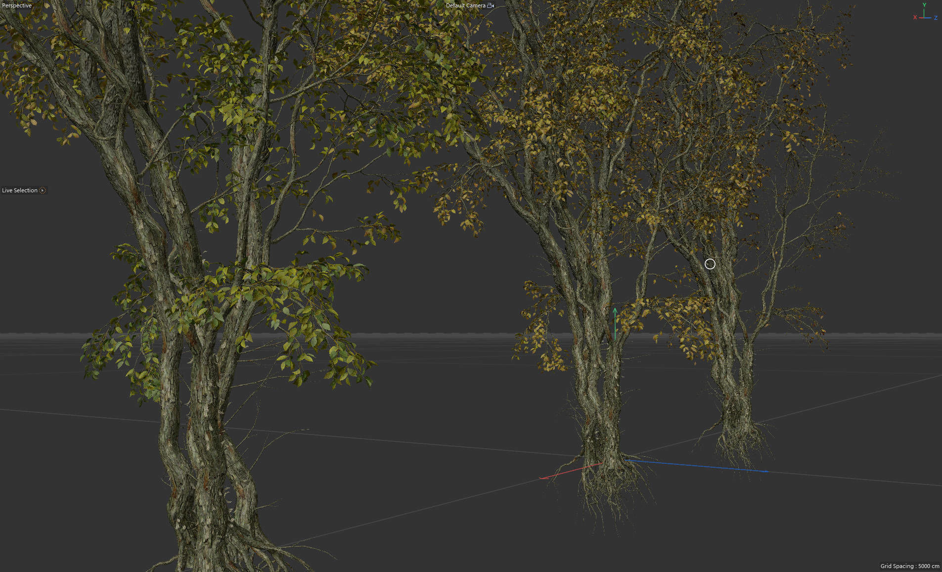 High Quality Forest Elm Tree 04 3D model_5
