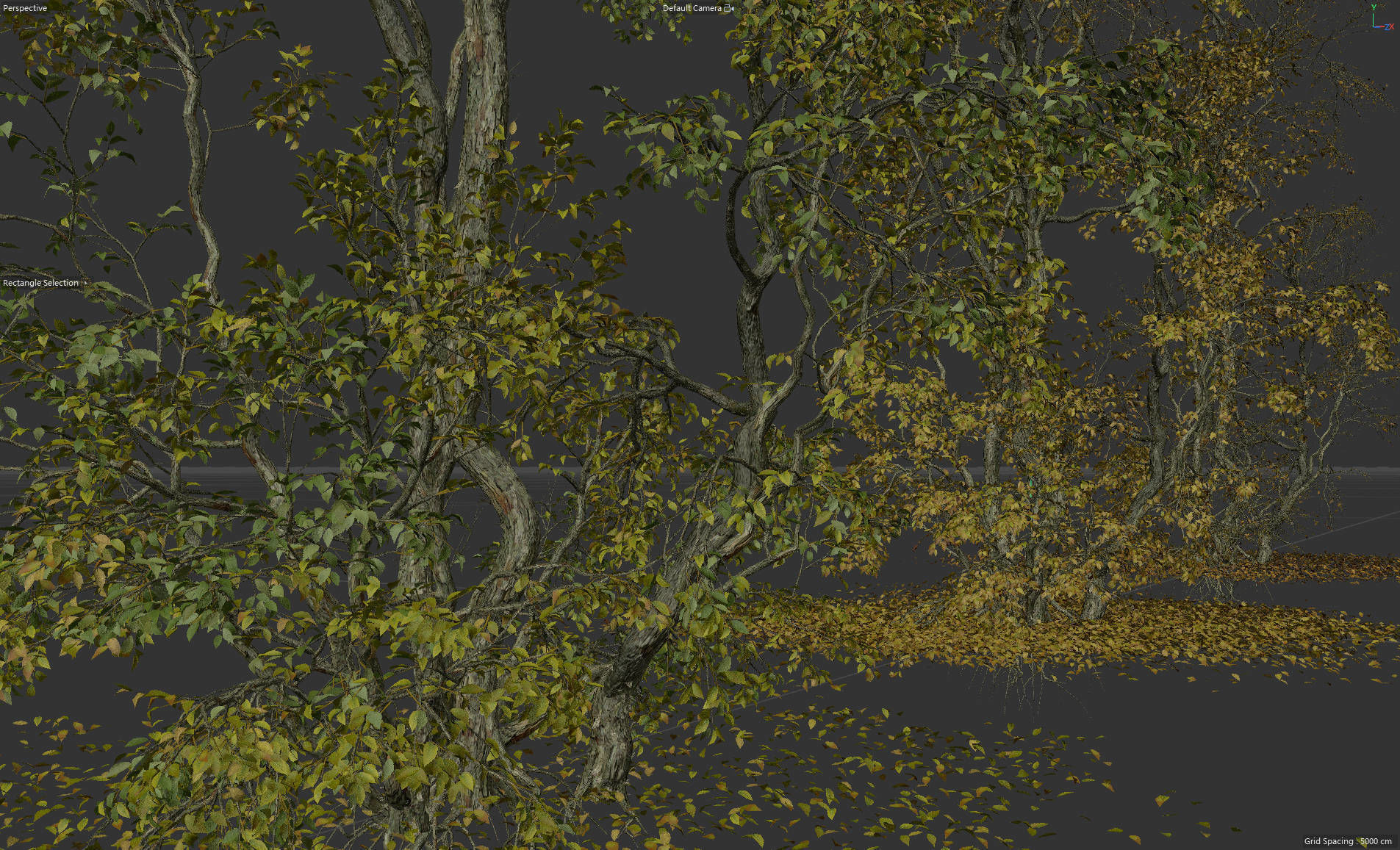 High Quality Forest Elm Tree 05 3D model_2