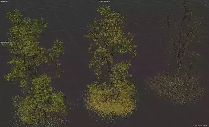 High Quality Forest Elm Tree 05 3D model