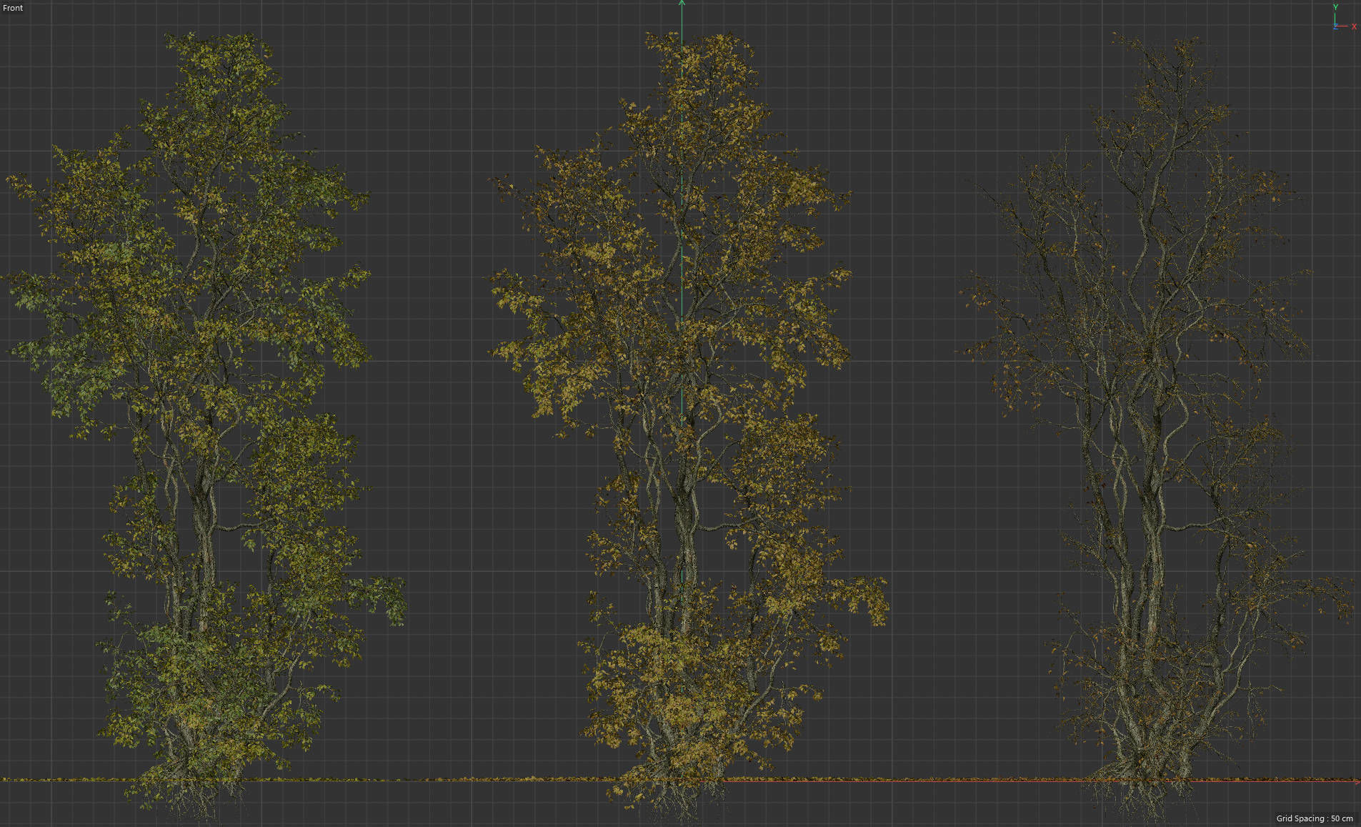 High Quality Forest Elm Tree 05 3D model_4