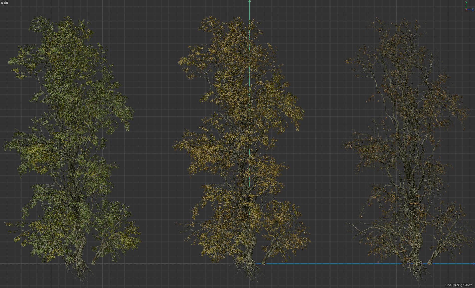 High Quality Forest Elm Tree 6 3D model_4