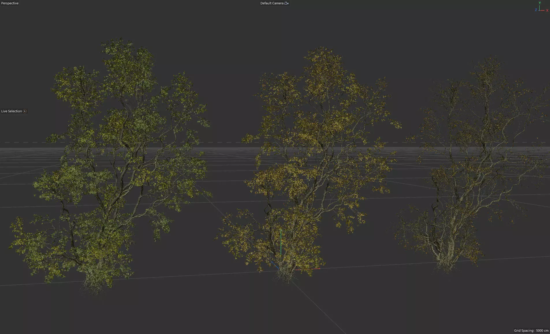 High Quality Forest Elm Tree 6 3D model_0