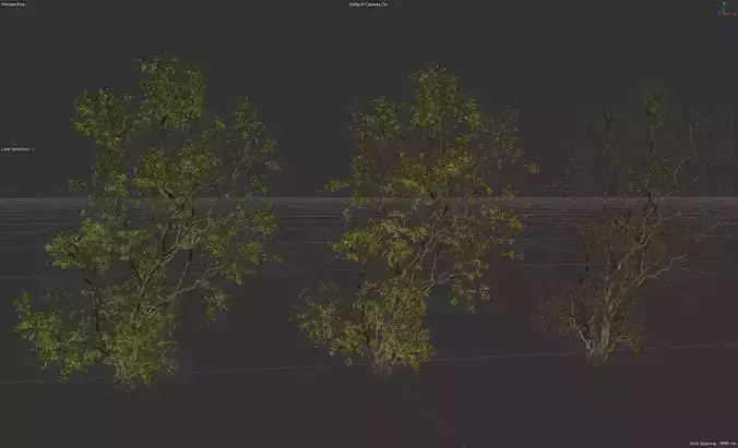 High Quality Forest Elm Tree 6 3D model