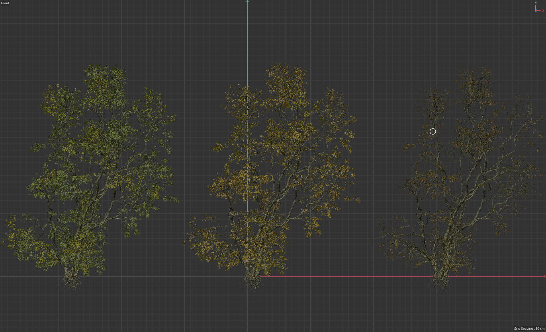 High Quality Forest Elm Tree 6 3D model_1