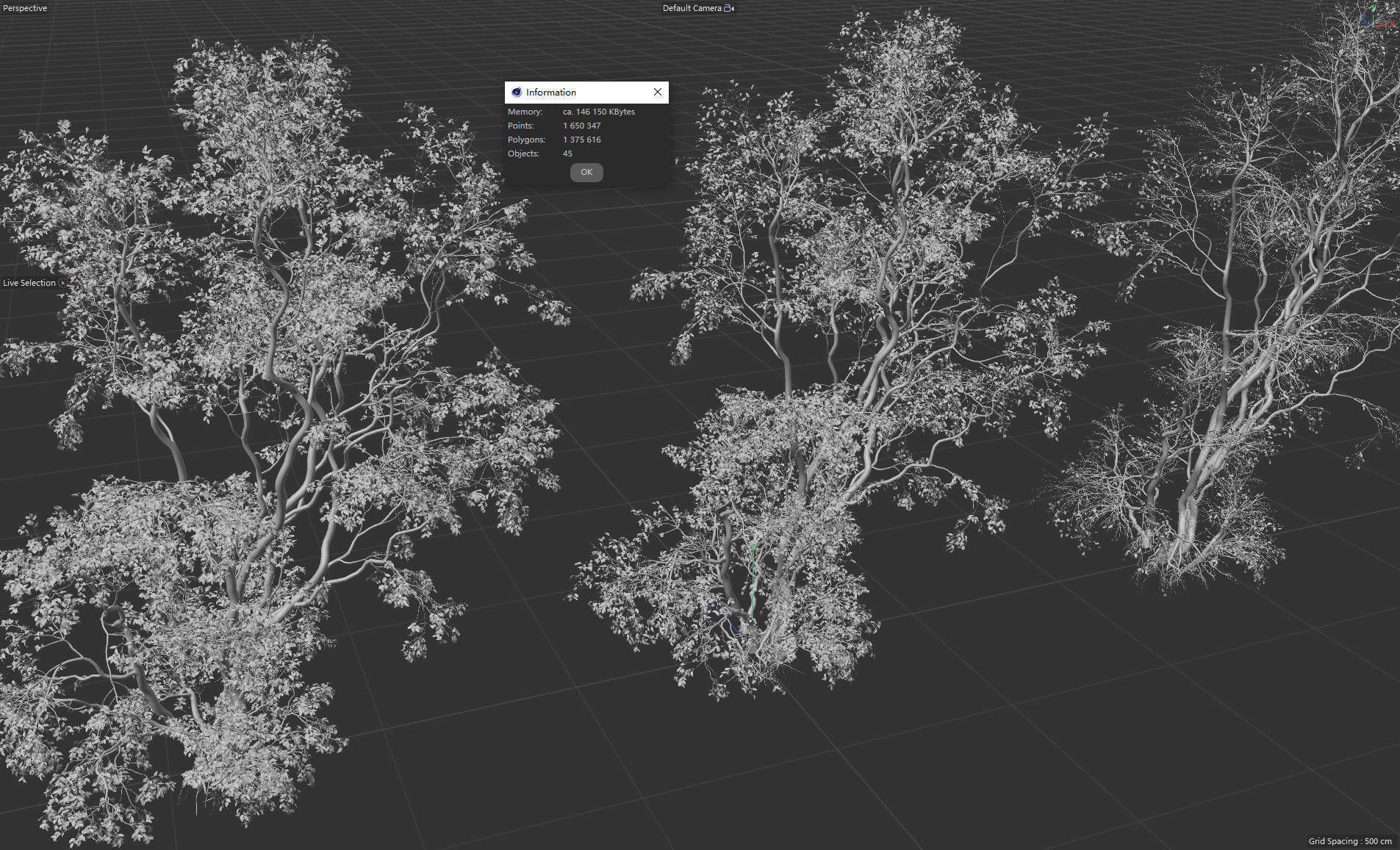 High Quality Forest Elm Tree 6 3D model_3