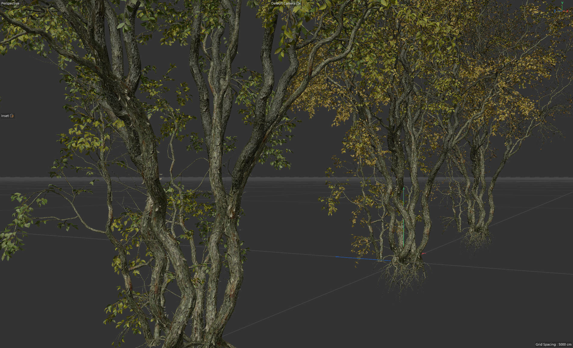 High Quality Forest Elm Tree 07 3D model_2