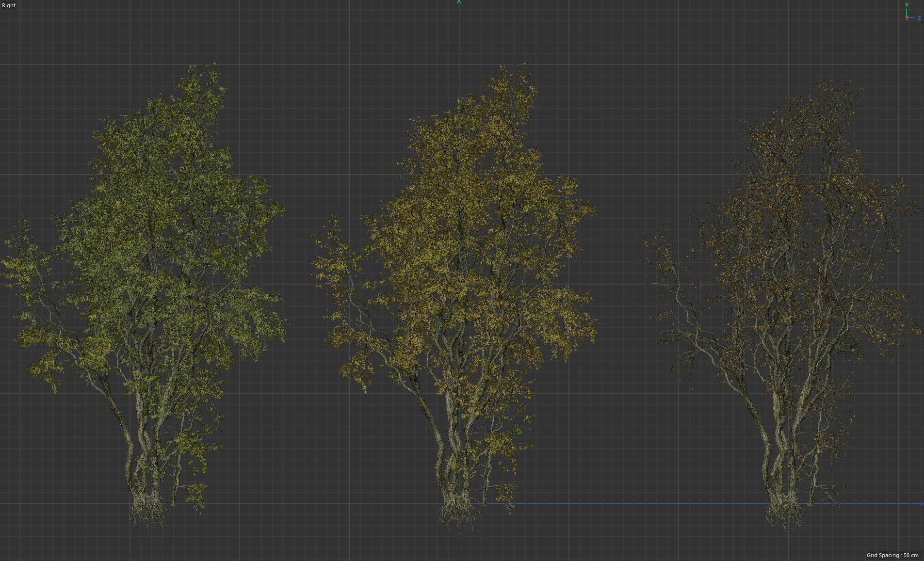High Quality Forest Elm Tree 07 3D model_5