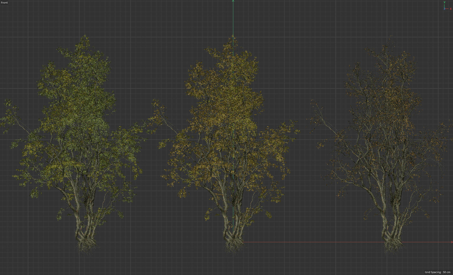 High Quality Forest Elm Tree 07 3D model_3