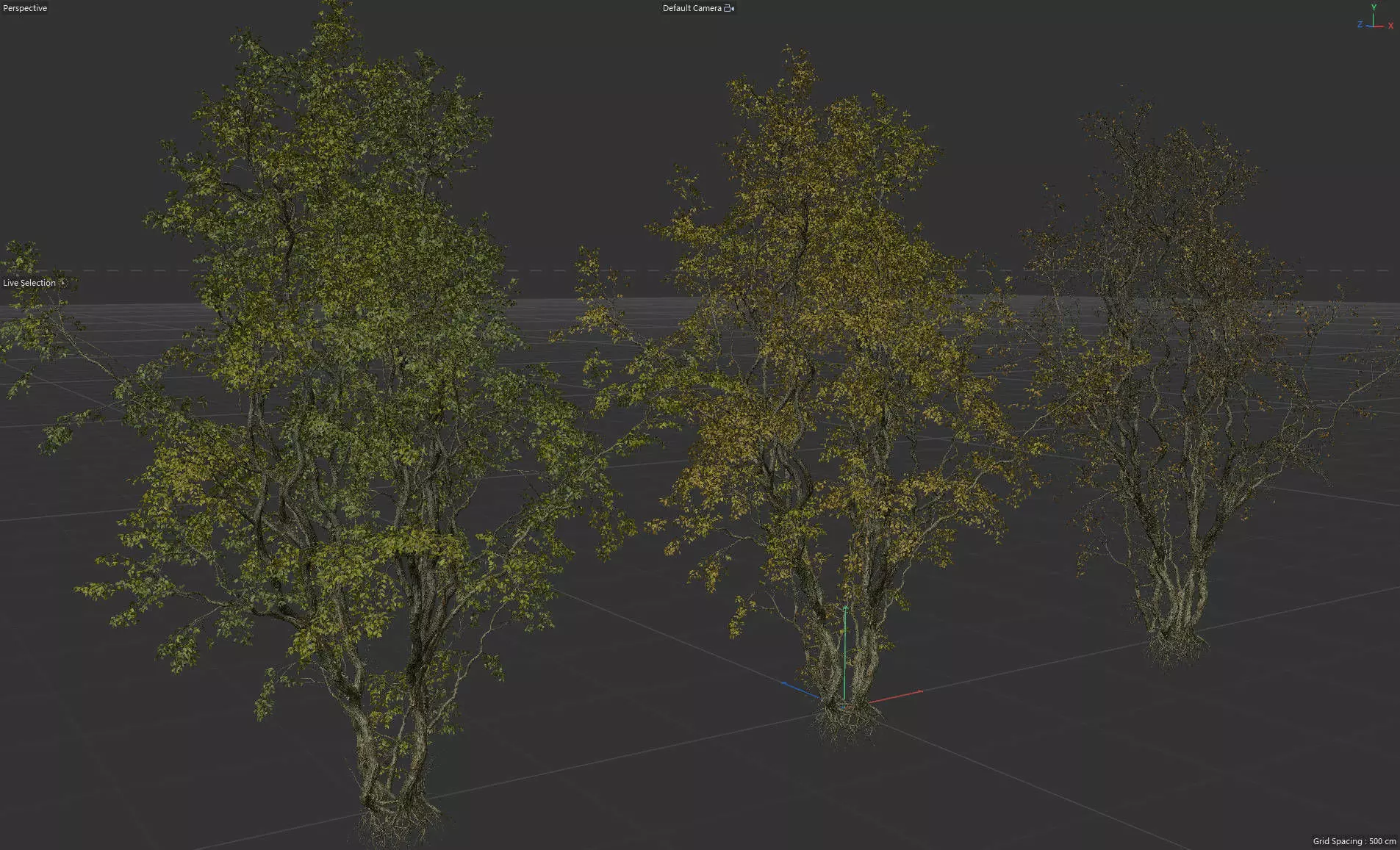 High Quality Forest Elm Tree 07 3D model_0