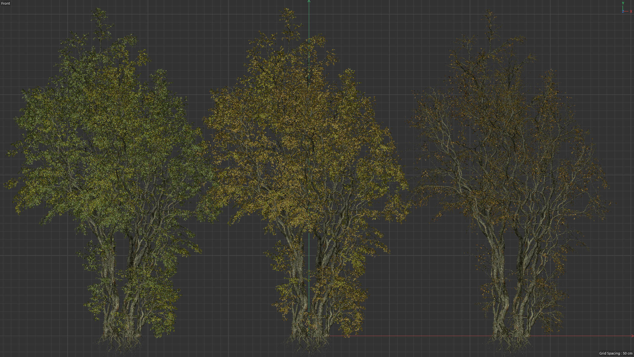 High Quality Forest Elm Tree 08 3D model_3