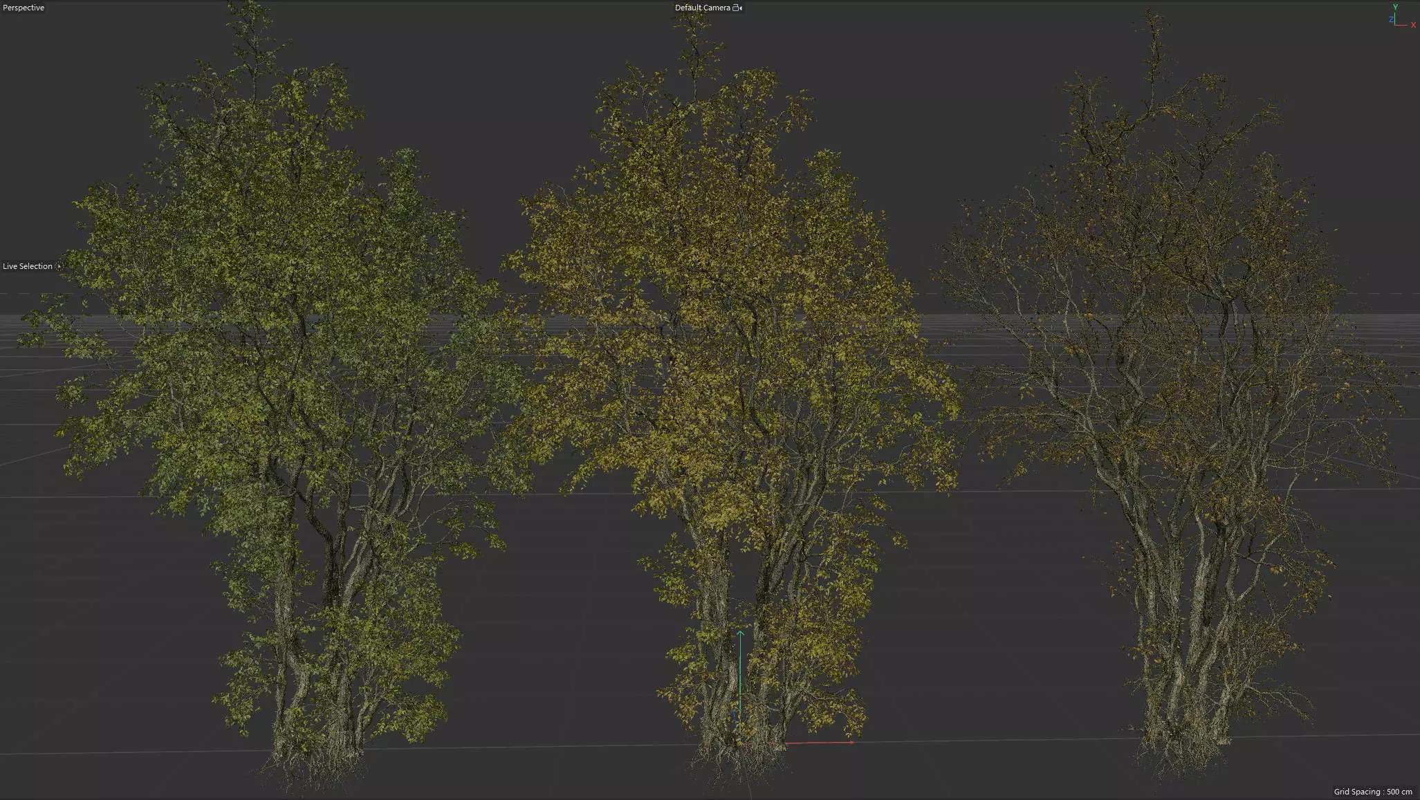 High Quality Forest Elm Tree 08 3D model_0