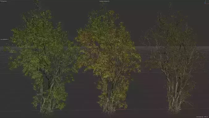 High Quality Forest Elm Tree 08 3D model