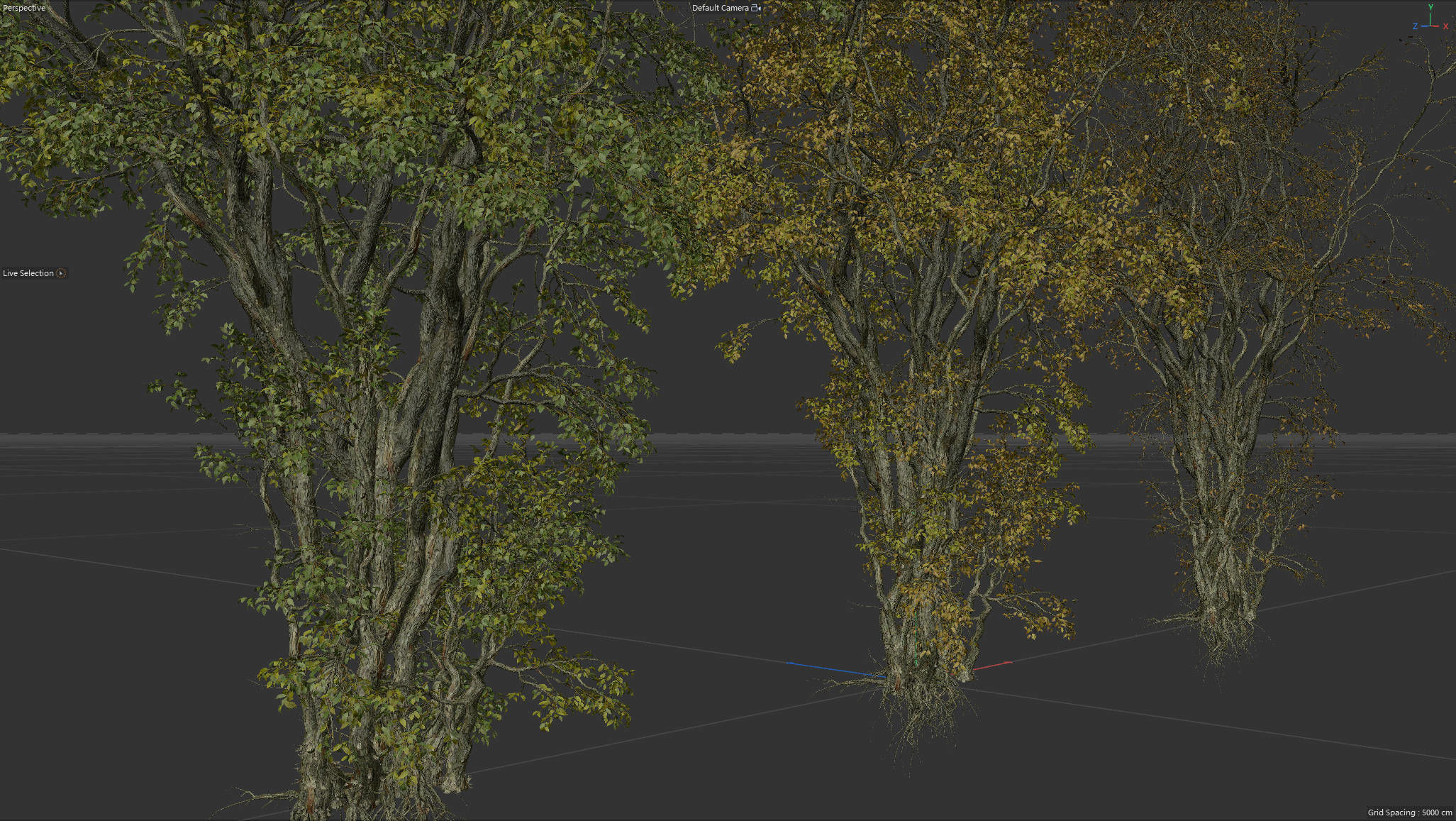 High Quality Forest Elm Tree 08 3D model_2