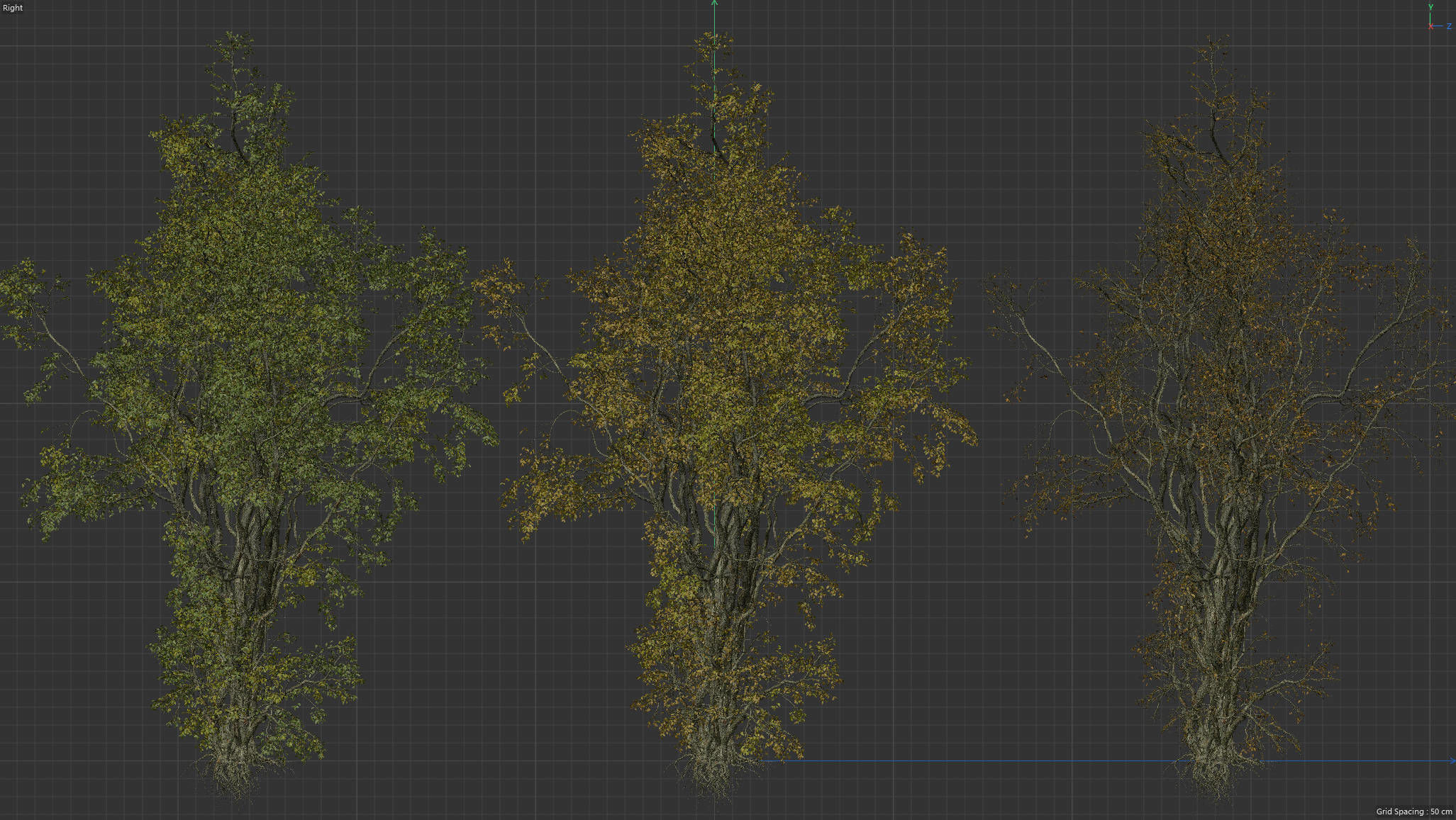 High Quality Forest Elm Tree 08 3D model_4