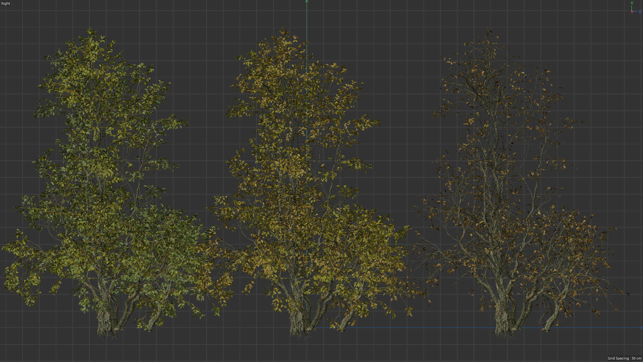  High Quality Forest Elm Tree 09 3D model_4