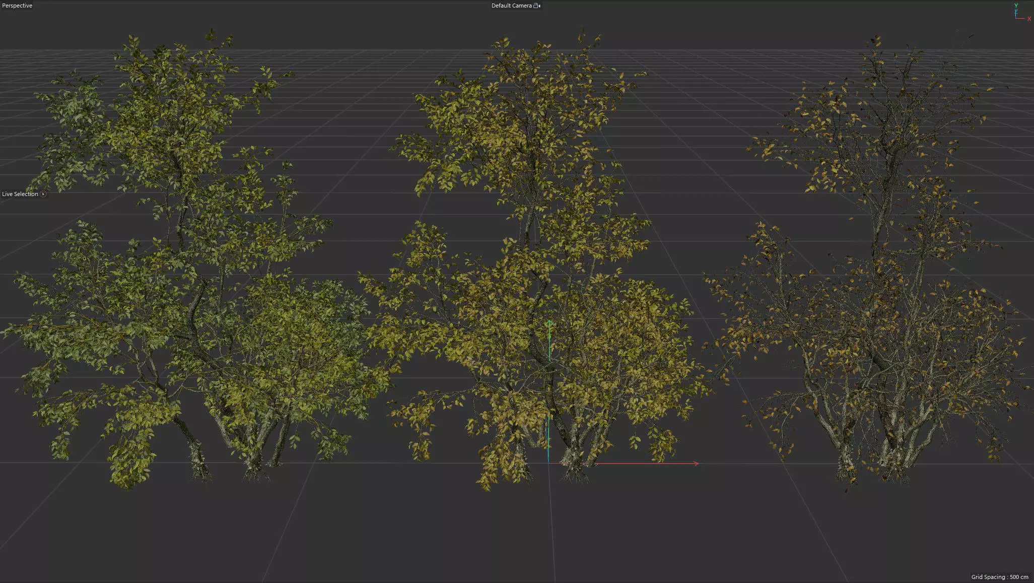  High Quality Forest Elm Tree 09 3D model_0