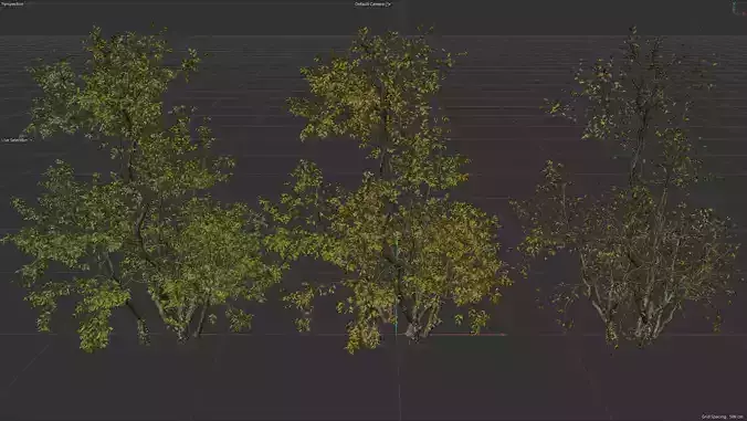  High Quality Forest Elm Tree 09 3D model