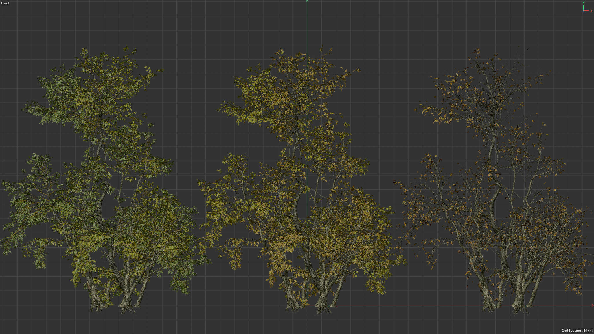  High Quality Forest Elm Tree 09 3D model_2