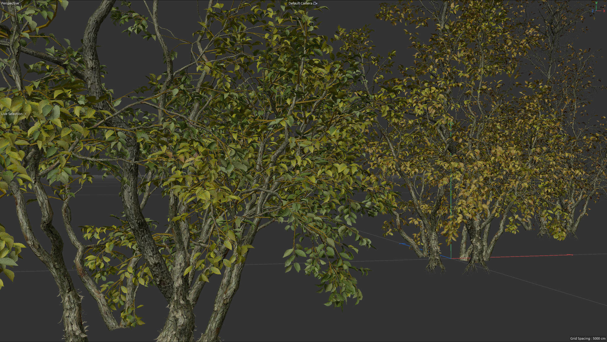 High Quality Forest Elm Tree 09 3D model_5