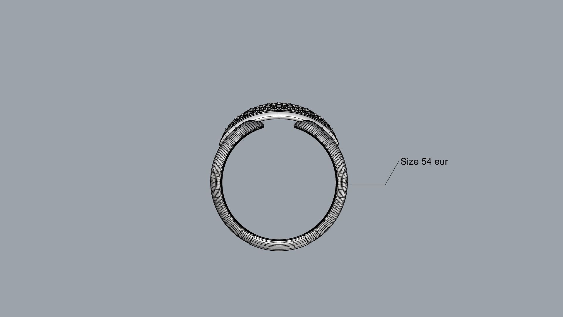 Ring 2024 - 003 3D print model_4