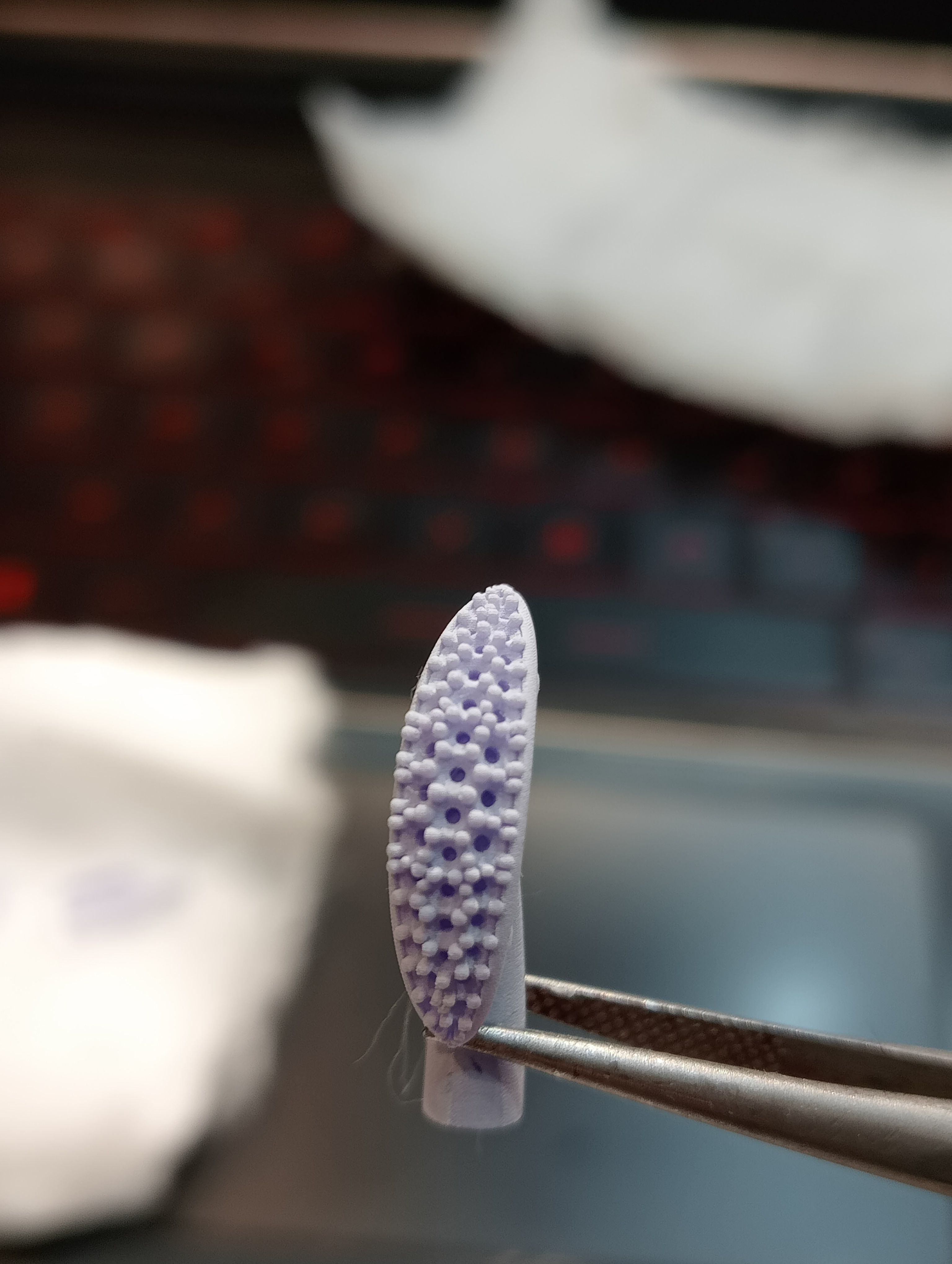 Ring 2024 - 003 3D print model_13