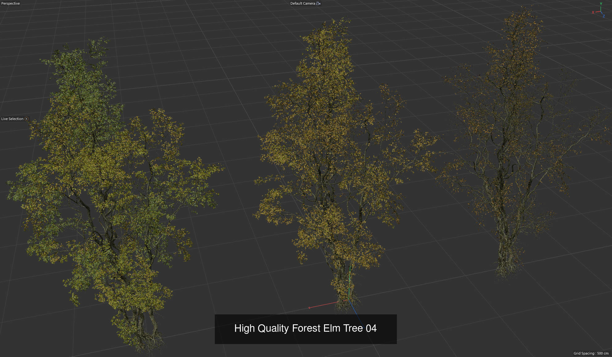 9 High Quality Forest Elm Tree Collection _8