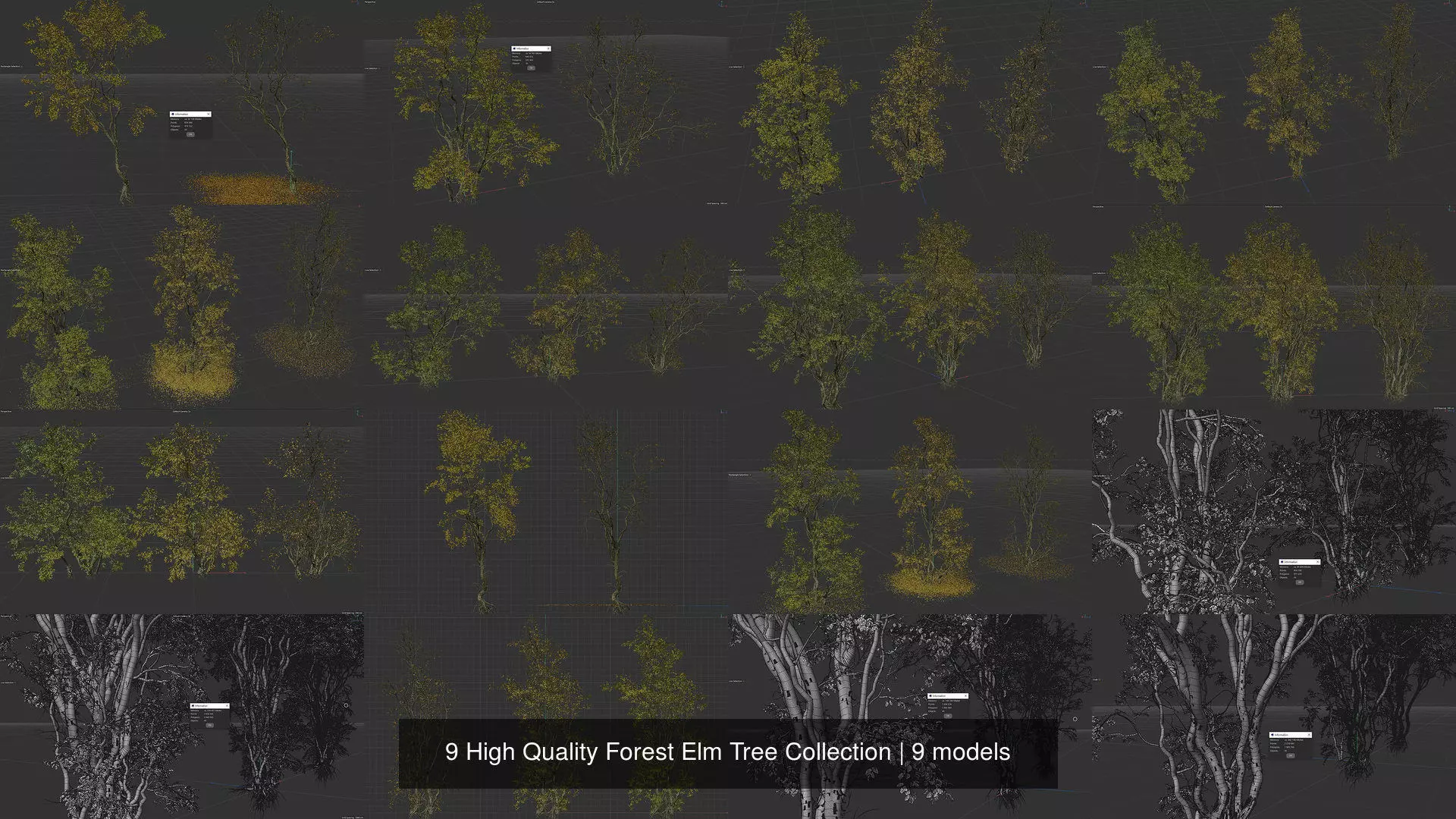 9 High Quality Forest Elm Tree Collection _1