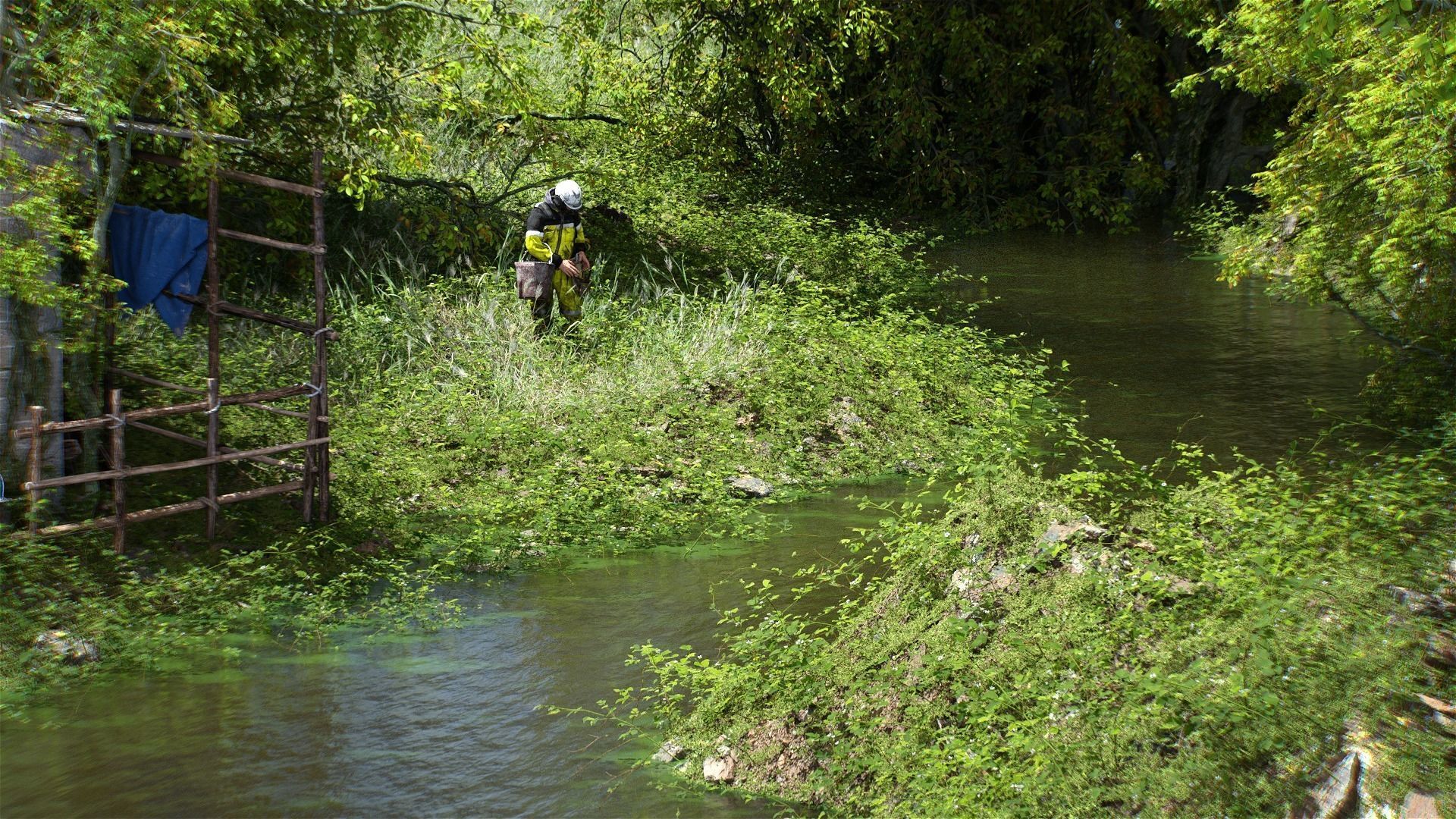 9 High Quality Forest Elm Tree Collection _3