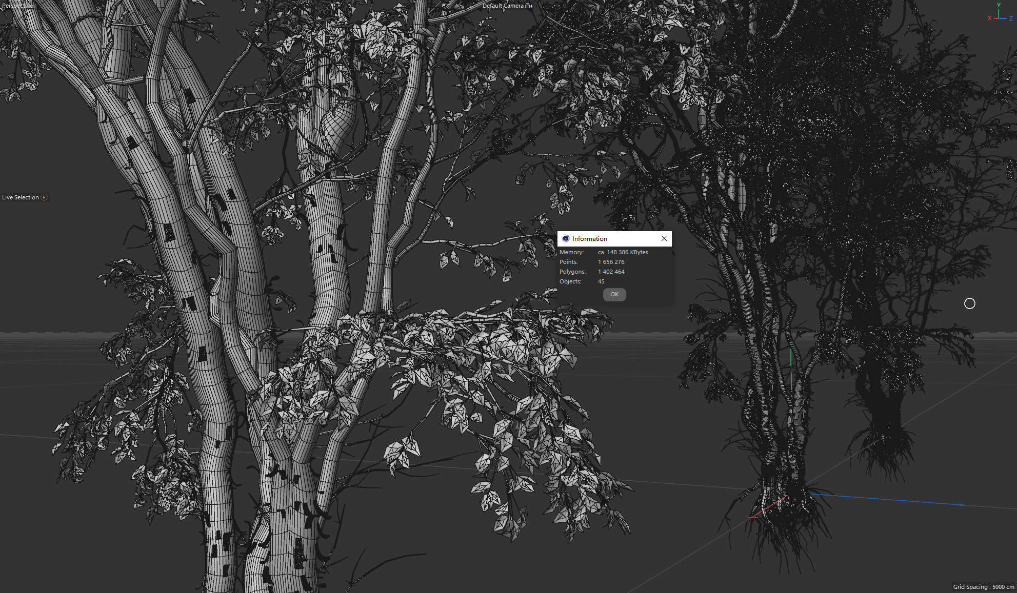 9 High Quality Forest Elm Tree Collection _20