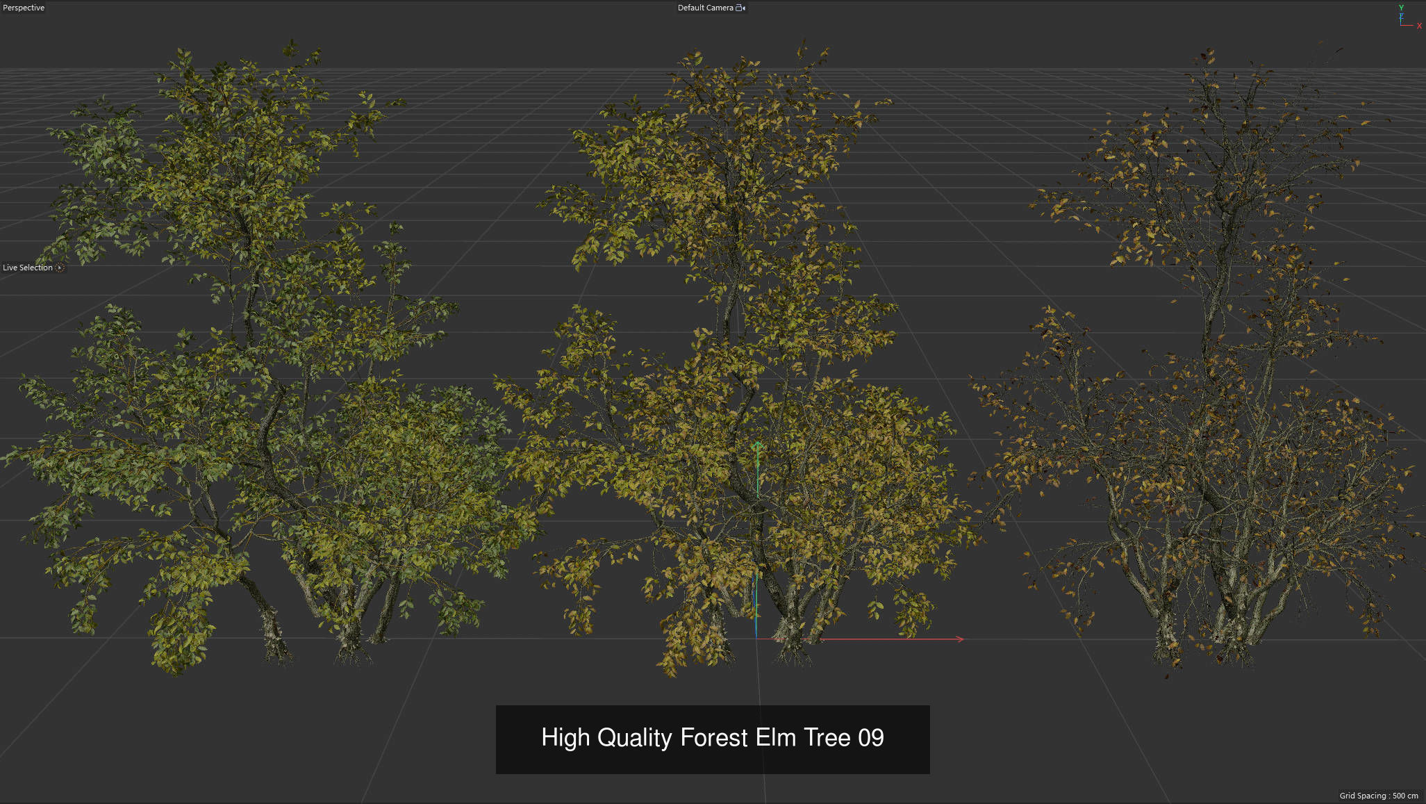 9 High Quality Forest Elm Tree Collection _16